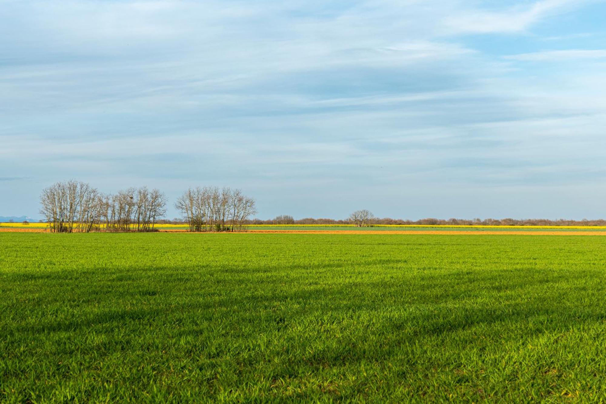 Descubre La Cepedana: Casa Rural Con Encanto En Cogorderos, A Solo 10 Km De Astorga 外观 照片